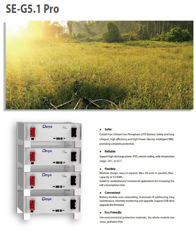 SOLARWAY Solaranlage Komplettset 11 kW | Deye 10 kW | Bifazial inkl. Montagesystem, App & WiFi