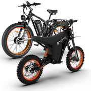electric dirt bike combination for family