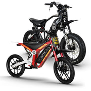 Tuttio Electric Bike Combo ICT & ARC-I